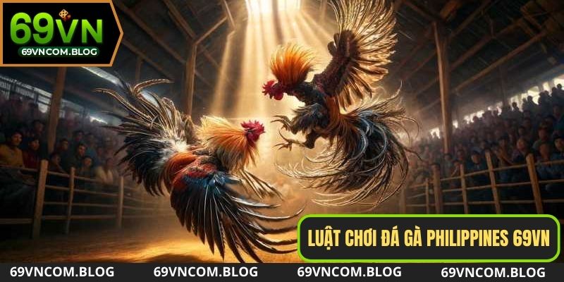 Luật chơi đá gà Philippines mới nhất từ 69VN