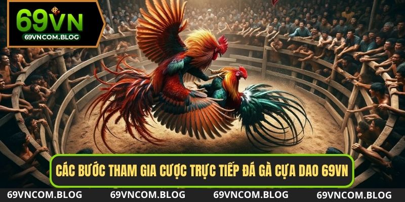 Các bước cược đá gà cựa dao trực tiếp tại nhà cái 69VN