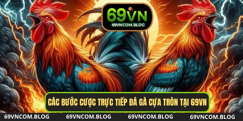 Các bước cược trực tiếp đá gà cựa tròn tại 69VN