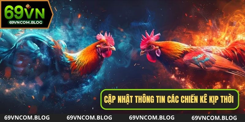 Thông tin về trận đấu gà cựa tròn tại 69VN